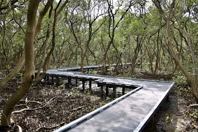 Badu Mangroves
