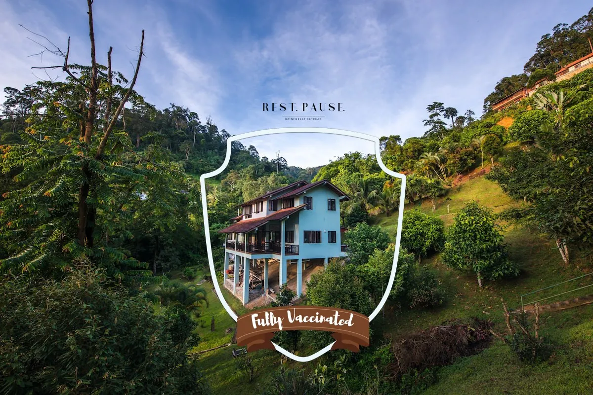 Rest. Pause Rainforest Retreat