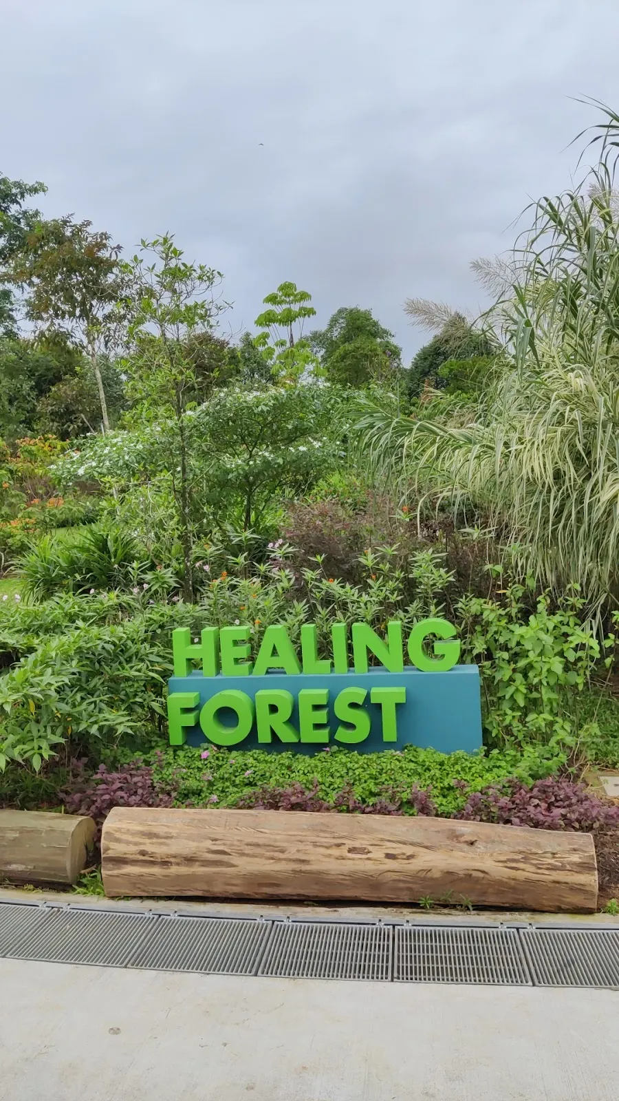 Woodland Healing Garden