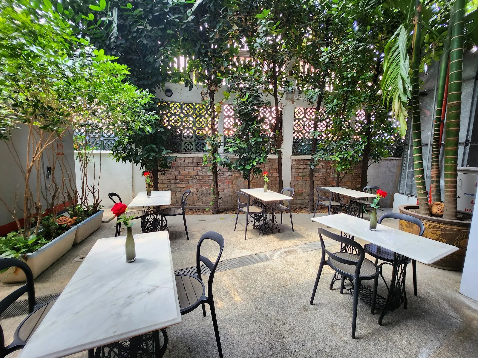 Areca Cafe