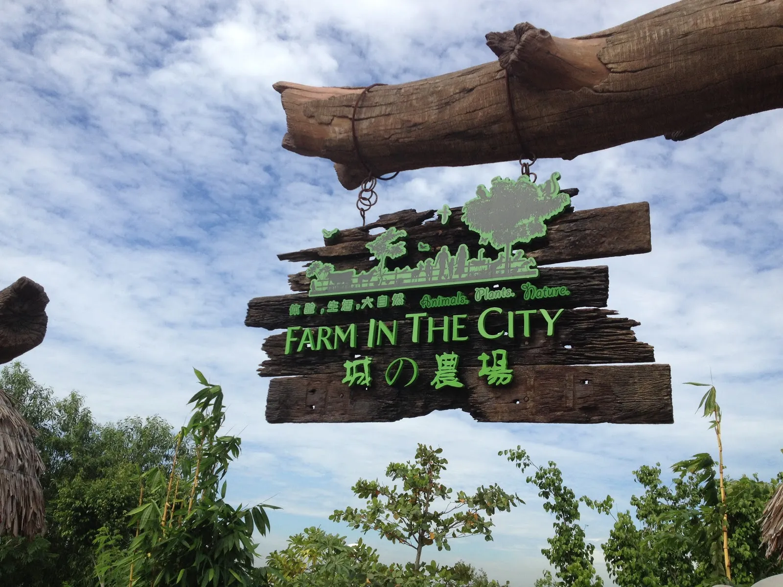 Farm In The City