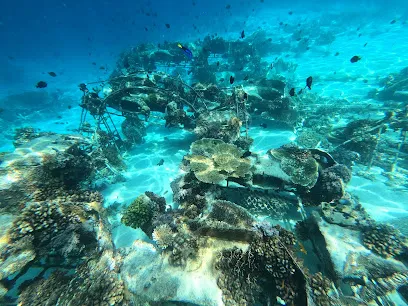 Underwater Bikes
