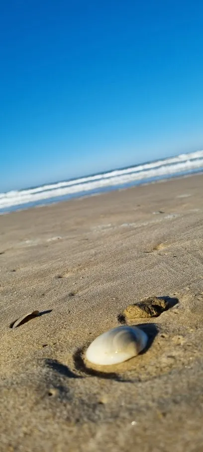 Nobby Beach