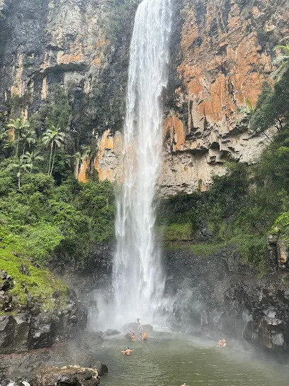Purling Brook Falls, Springbrook National Park