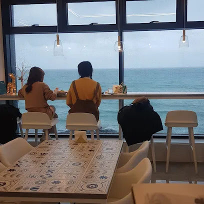 Seagulls Fam