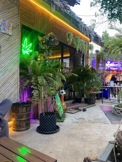 The Hub - Cannabis Wholesale, Weed Shop & Delivery, Vegetarian Breakfast & Coffee, Thc Kitchen