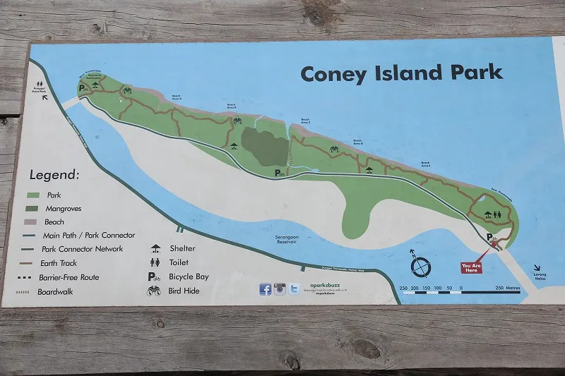Coney Island Park