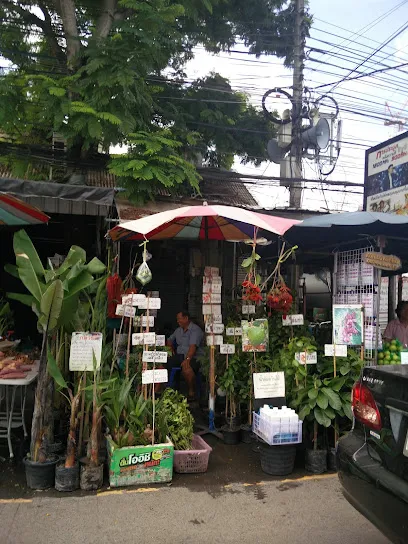 Chatuchak Flower Market