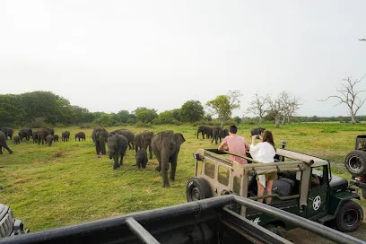 Sri Lanka Jeep Safari