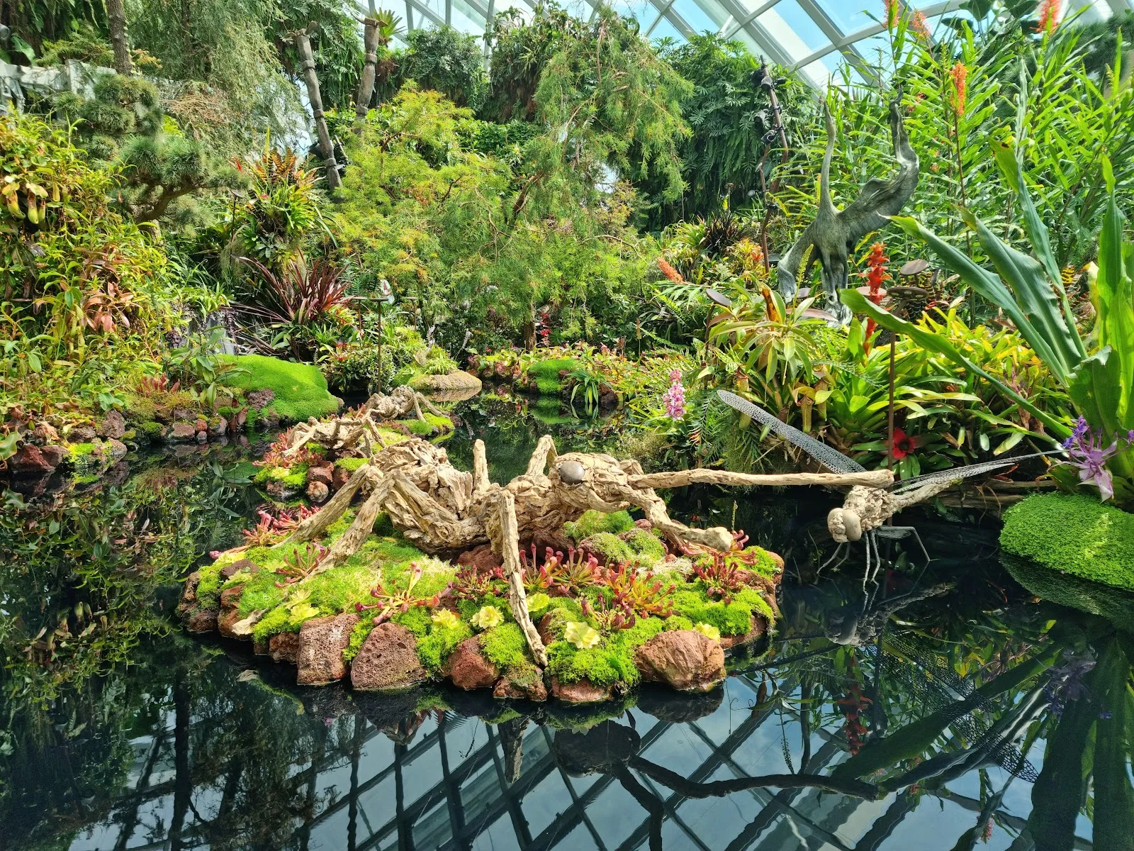 Cloud Forest