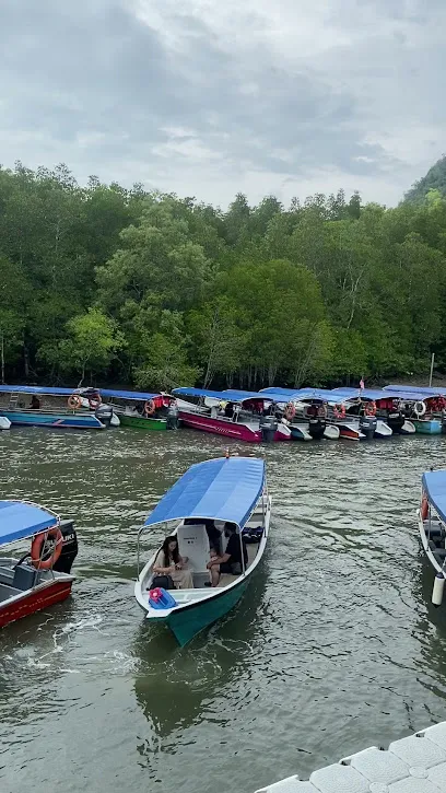 Mangrove Tour & Kayak By Sevensea Adventure