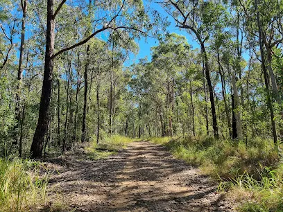 Nerang National Park