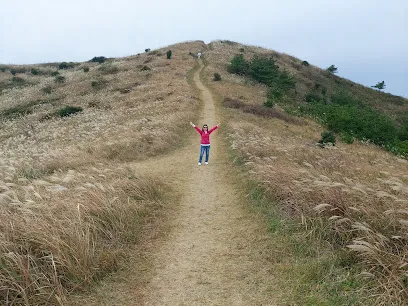 Ttarabi Oreum
