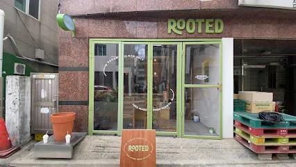 Rooted Seoul (루티드)