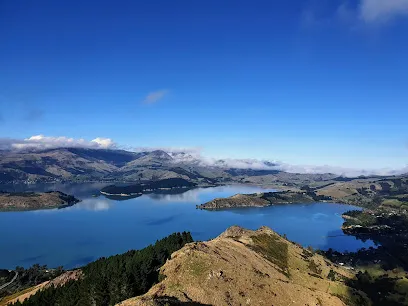 View Point