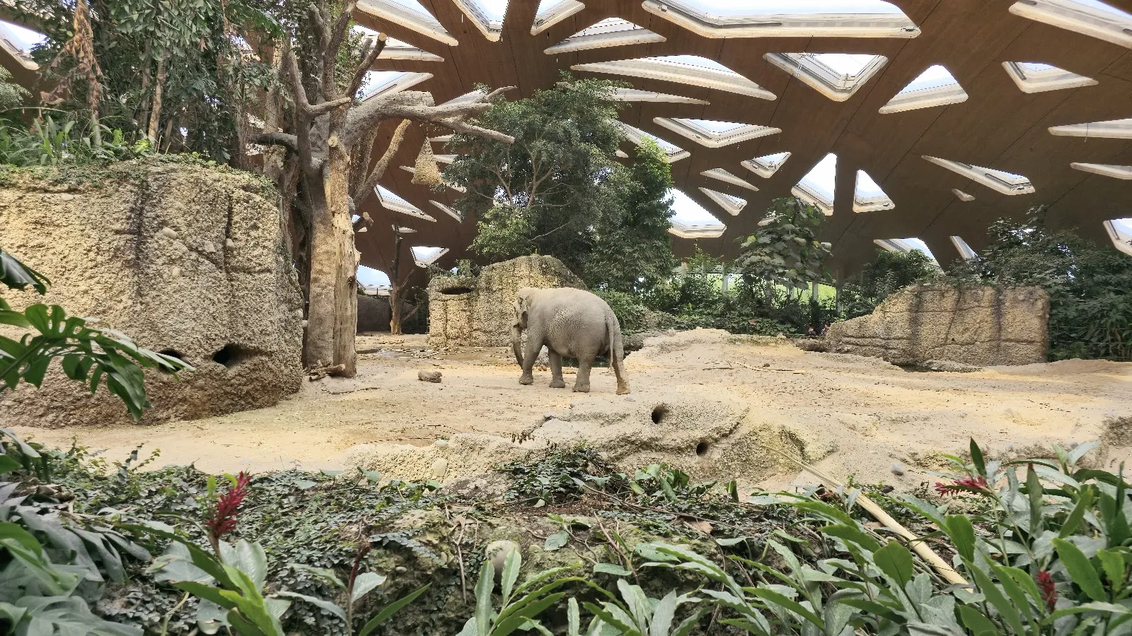 Zoo Zürich