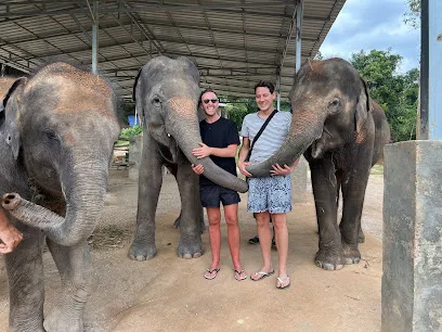 Elephant Retirement Park Phuket