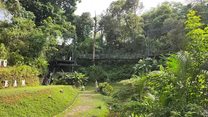 Phuket Swing Beyond Dream