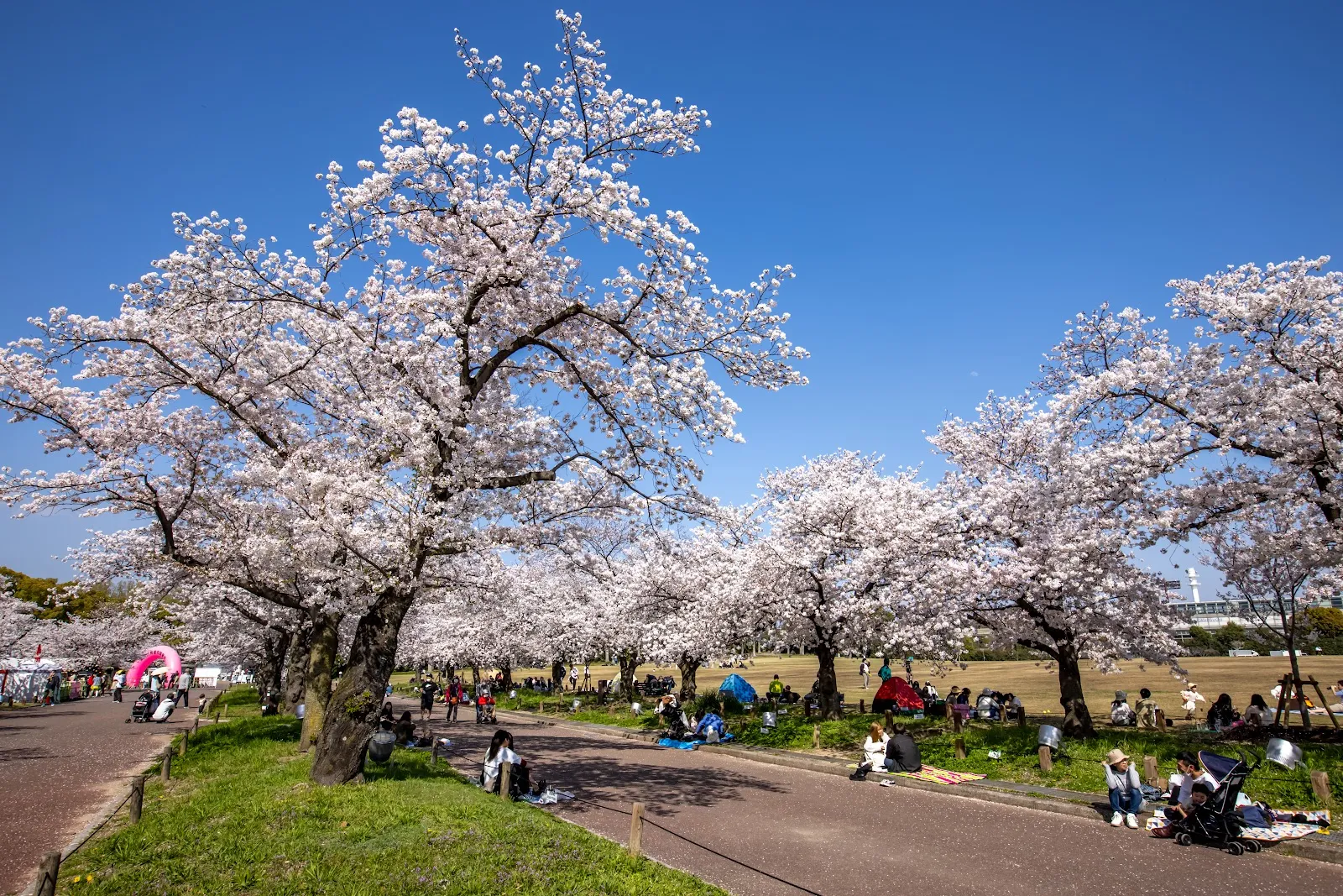 Expo Commemorative Park