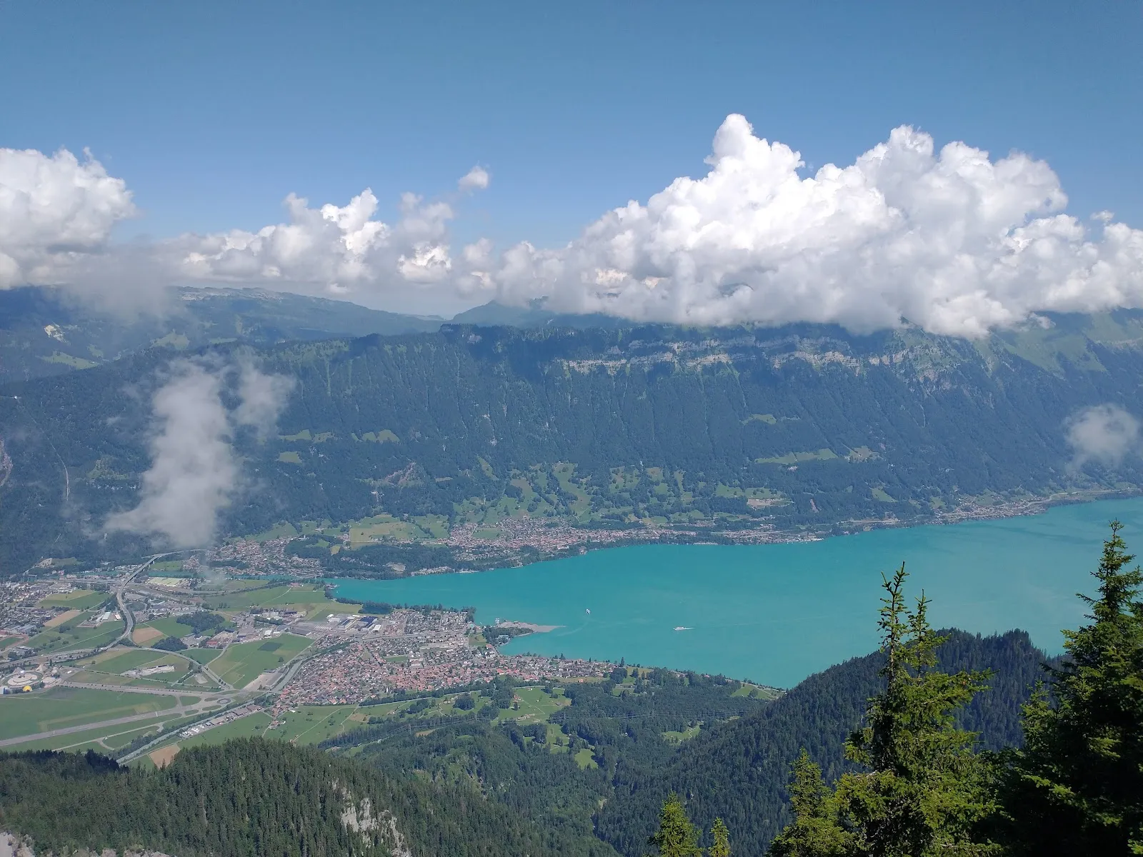 Schynige Platte