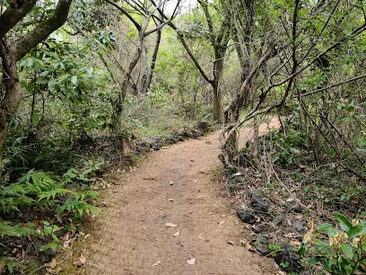 Gotjawal Provincial Park