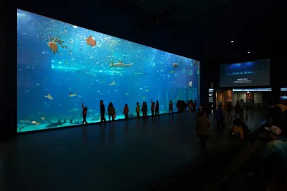 Aqua Planet Jeju