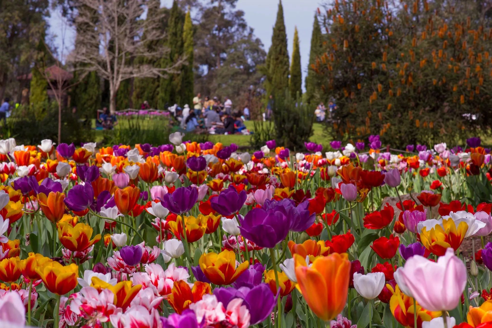 Why Western Australia Should Be Your Next Getaway