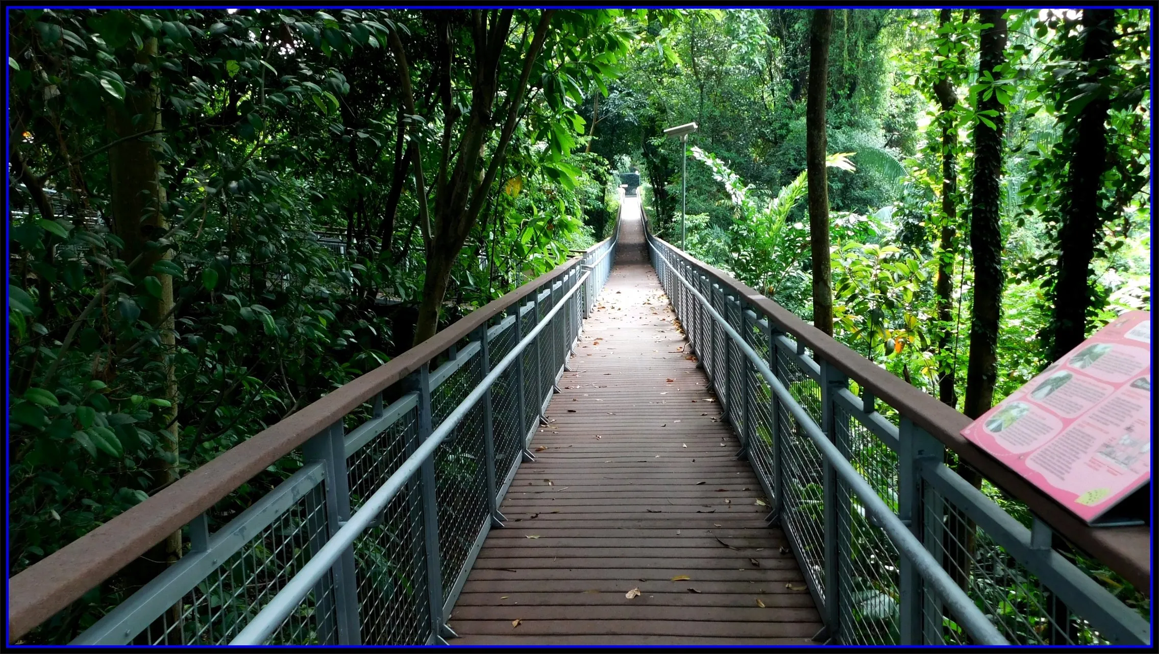 Things to do in Sentosa