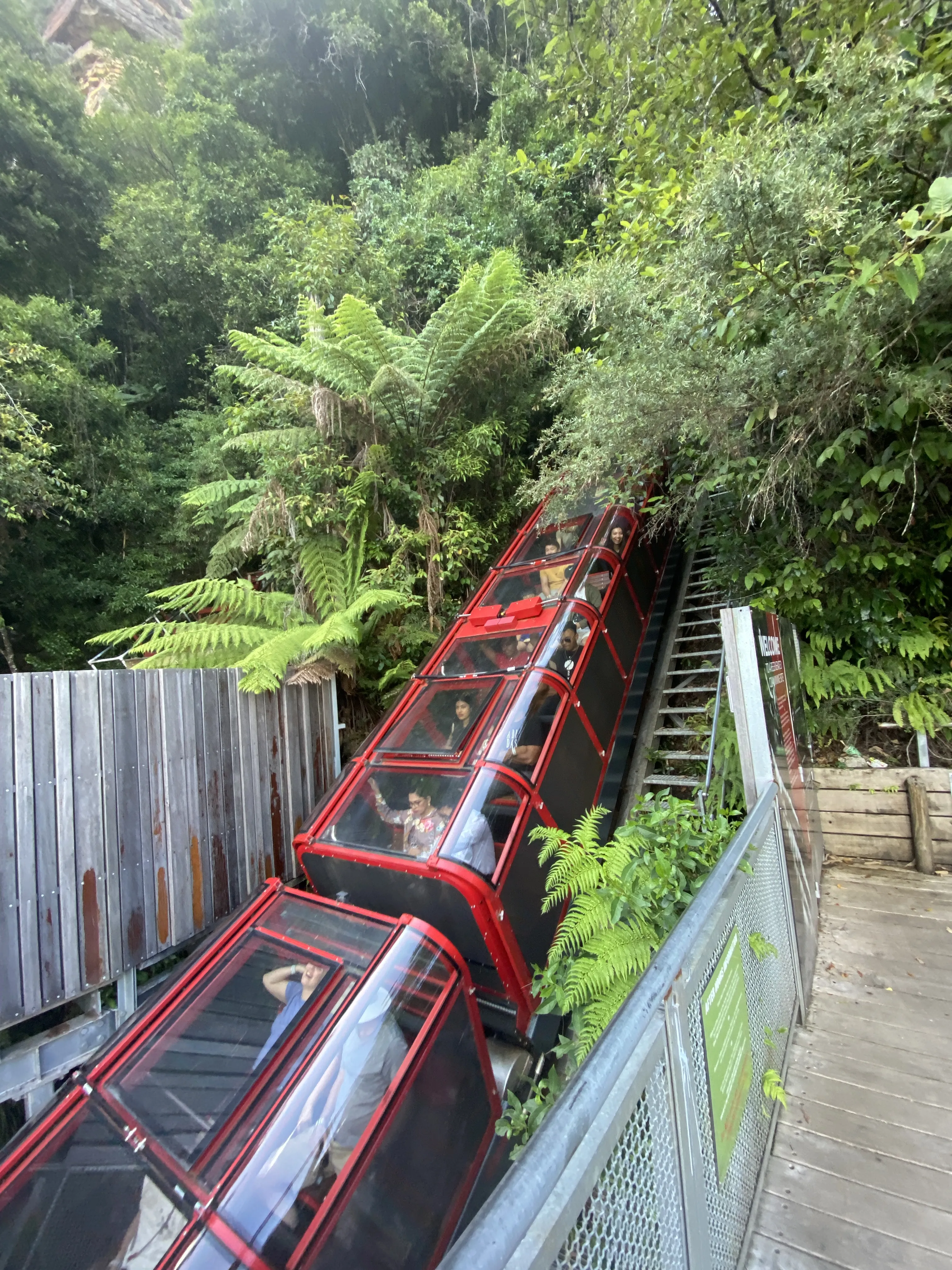 the Scenic Railway