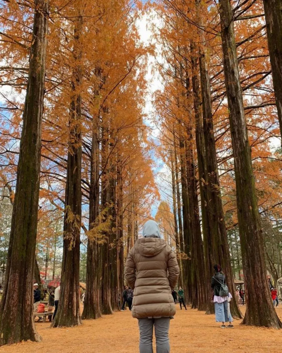 10D9N Itinerary In Seoul, Busan And Jeju