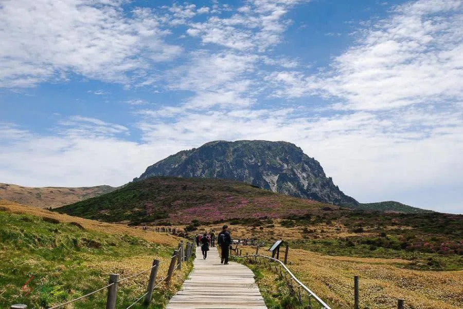 10D9N Itinerary In Seoul, Busan And Jeju