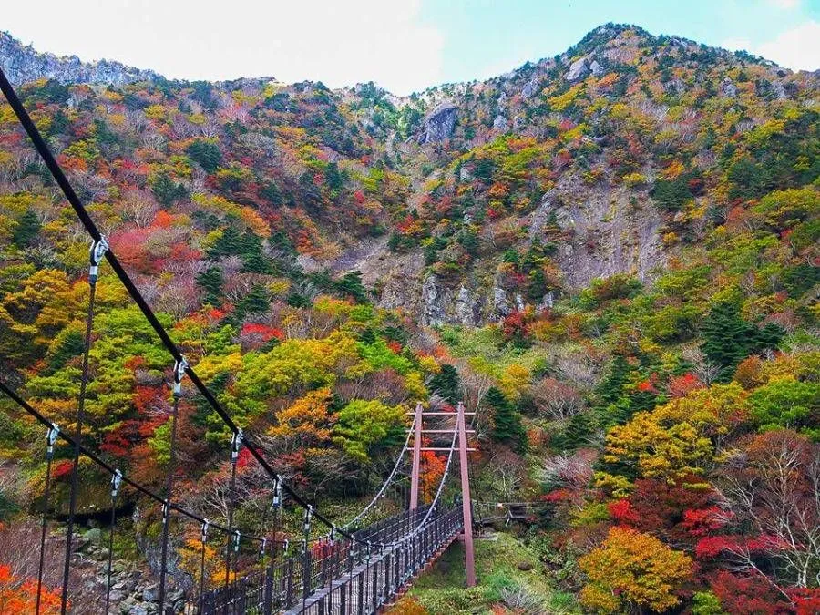 10D9N Itinerary In Seoul, Busan And Jeju