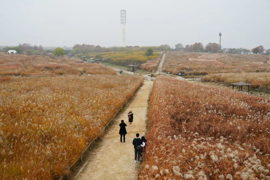 Muslim-Friendly Itinerary Seoul