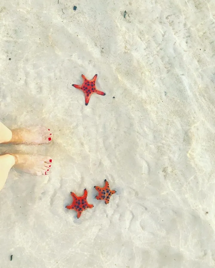 Tips To Uncover Vietnam’s Paradise Island Of Phu Quoc