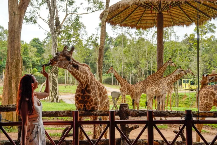Tips To Uncover Vietnam’s Paradise Island Of Phu Quoc