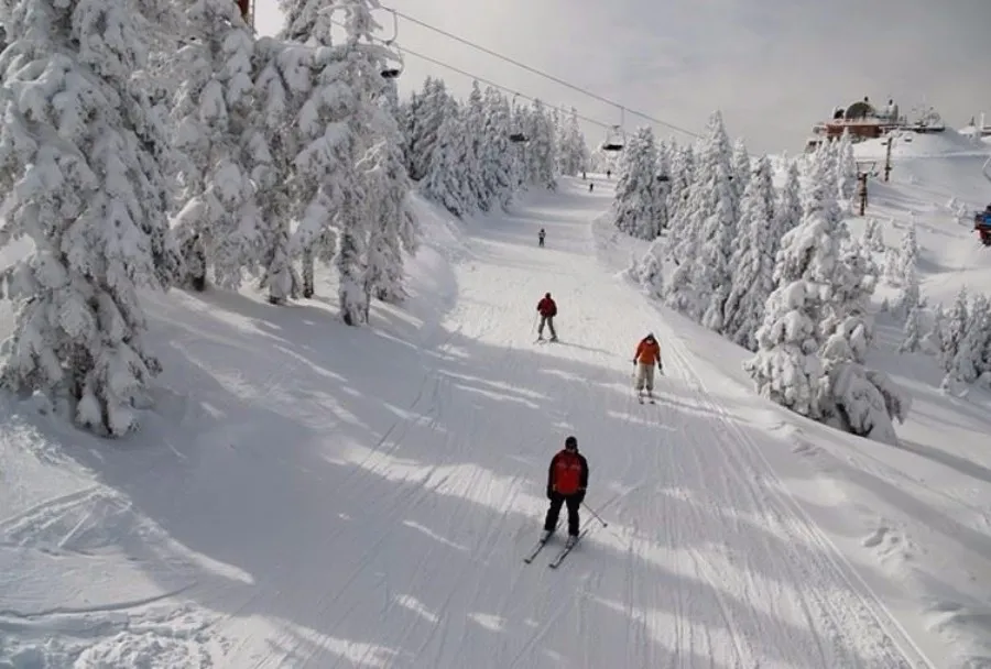 destinations to experience snowfall december