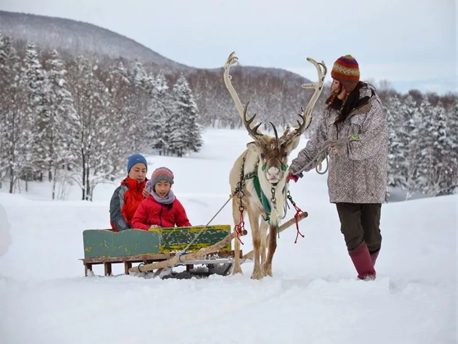 destinations to experience snowfall december