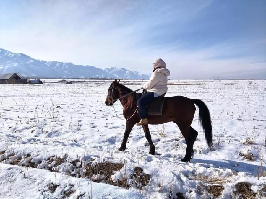 destinations to experience snowfall december