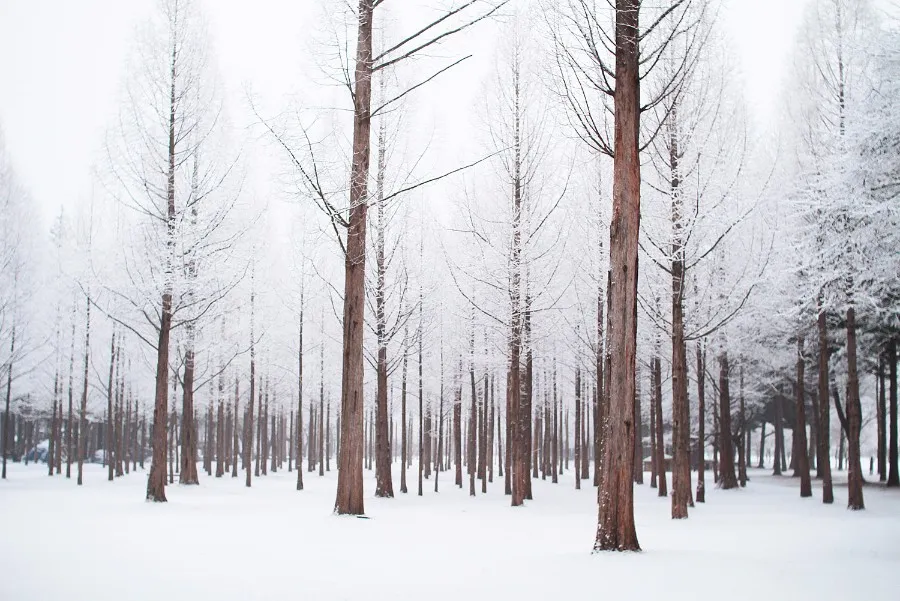 destinations to experience snowfall december