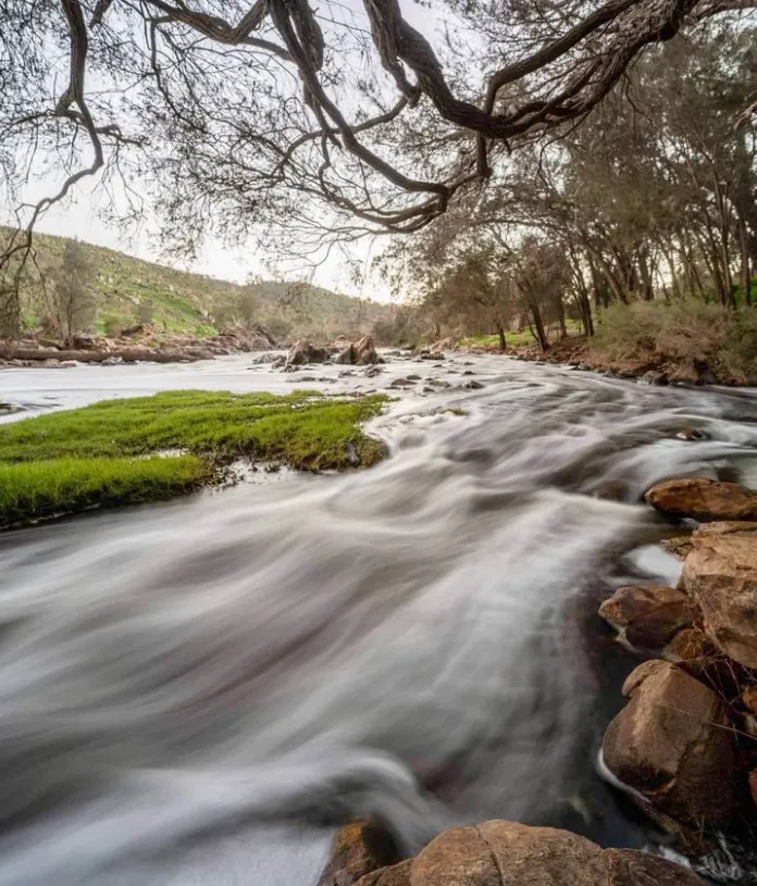 Bells Rapids