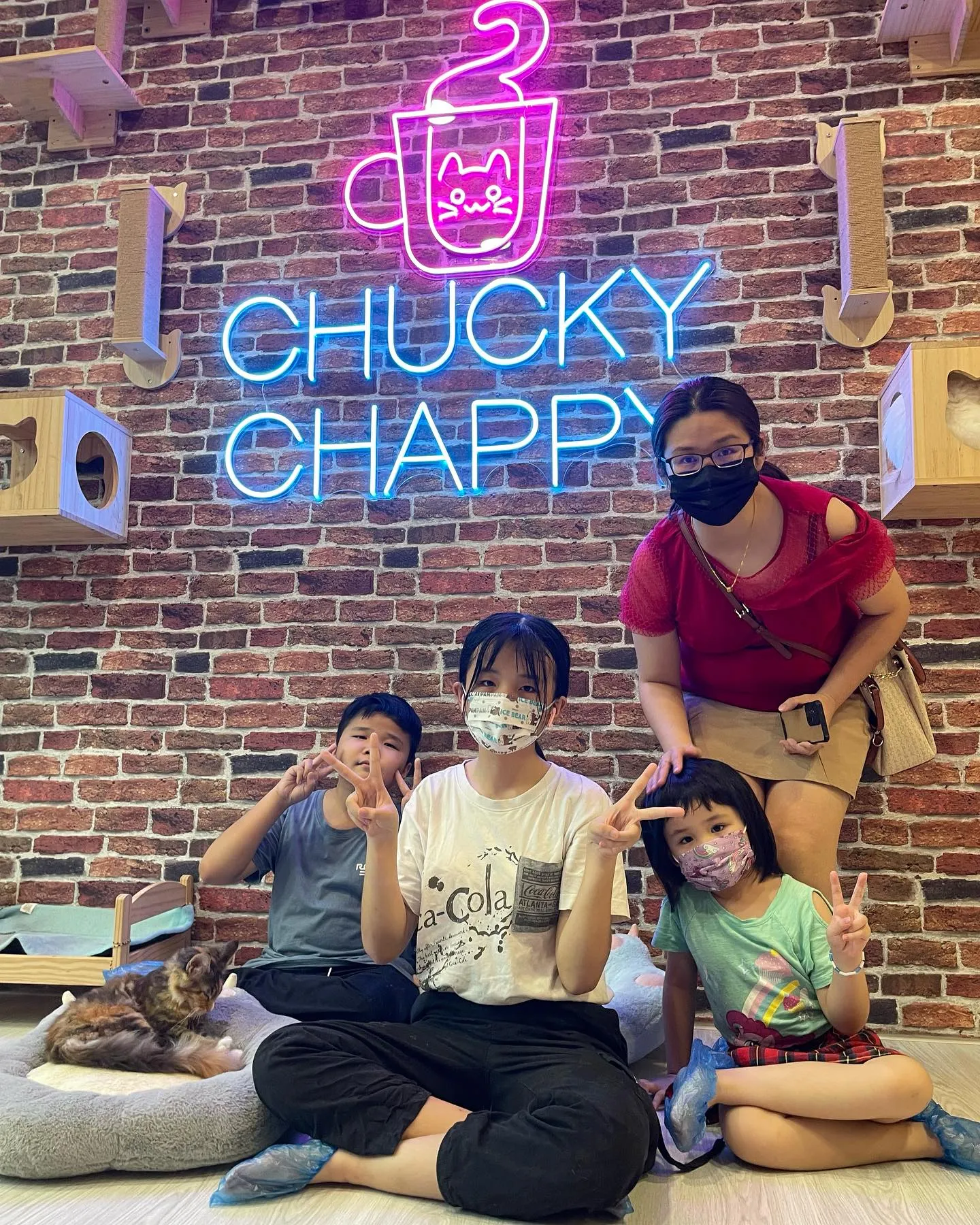 Cat Cafes In JB