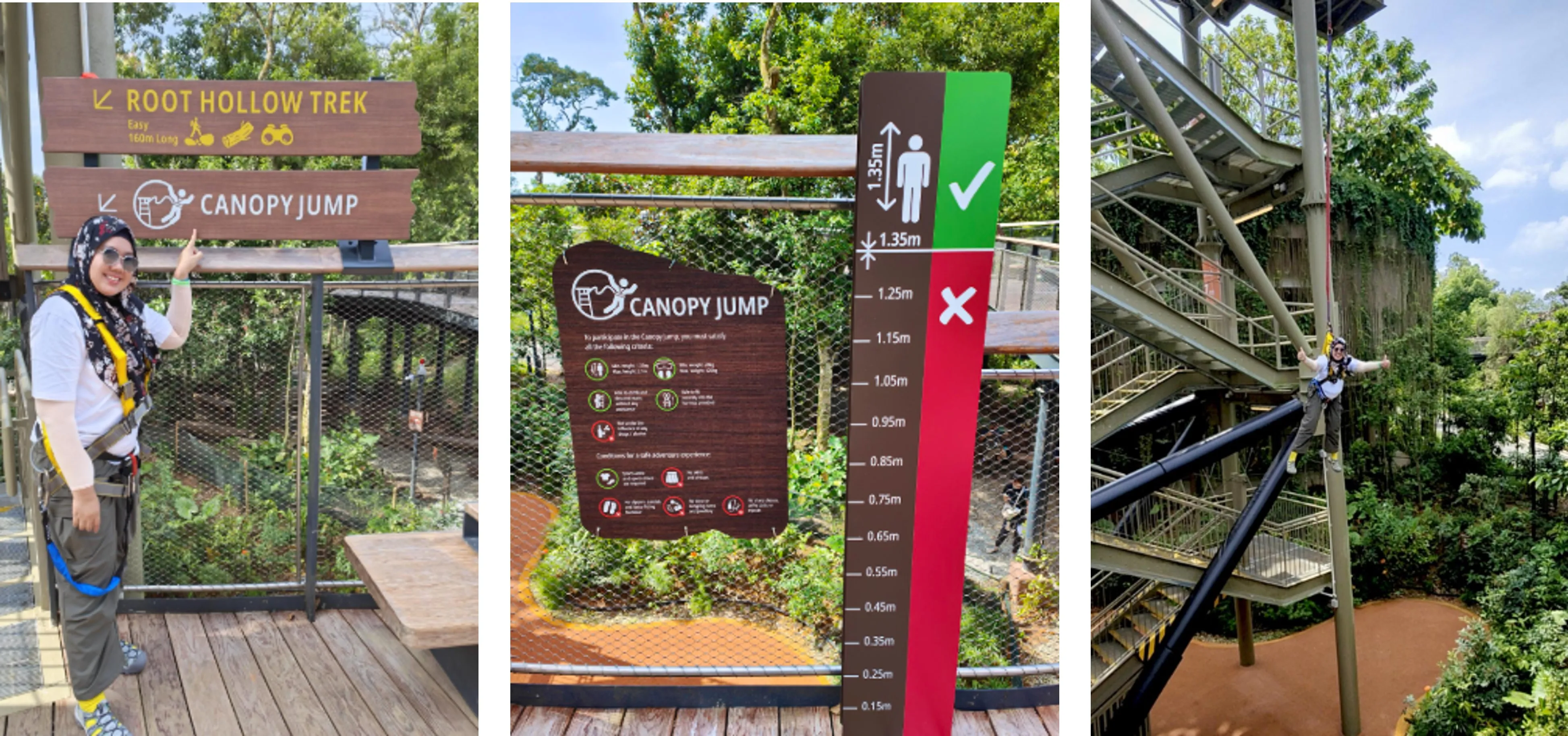 Rainforest Wild ASIA Preview