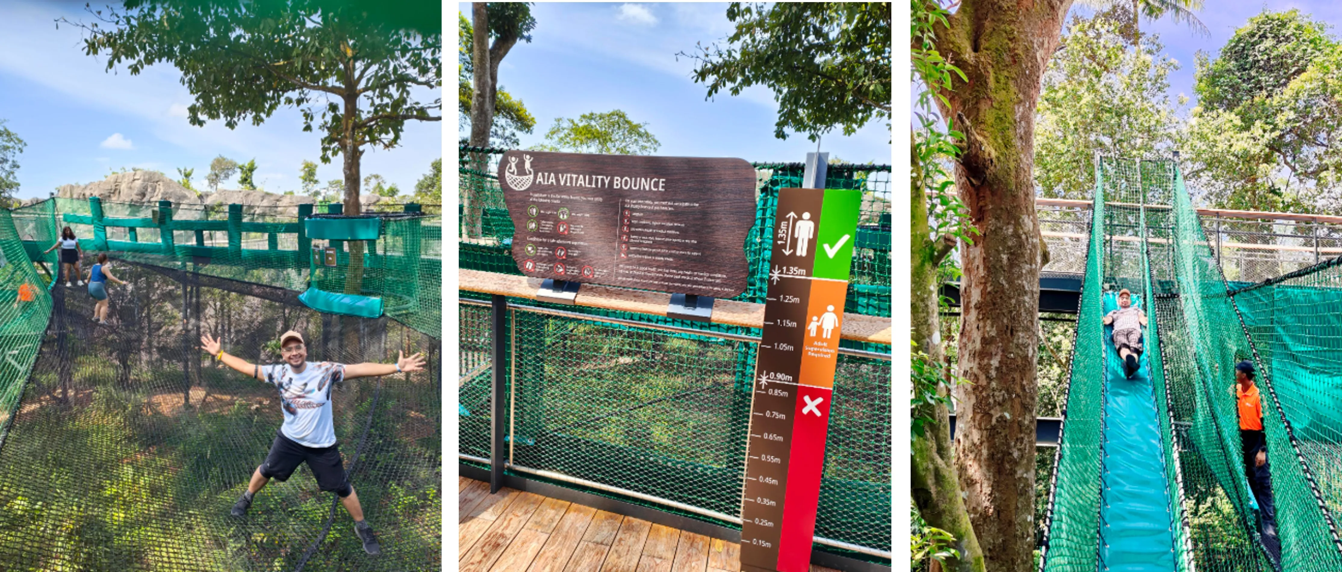 Rainforest Wild ASIA Preview