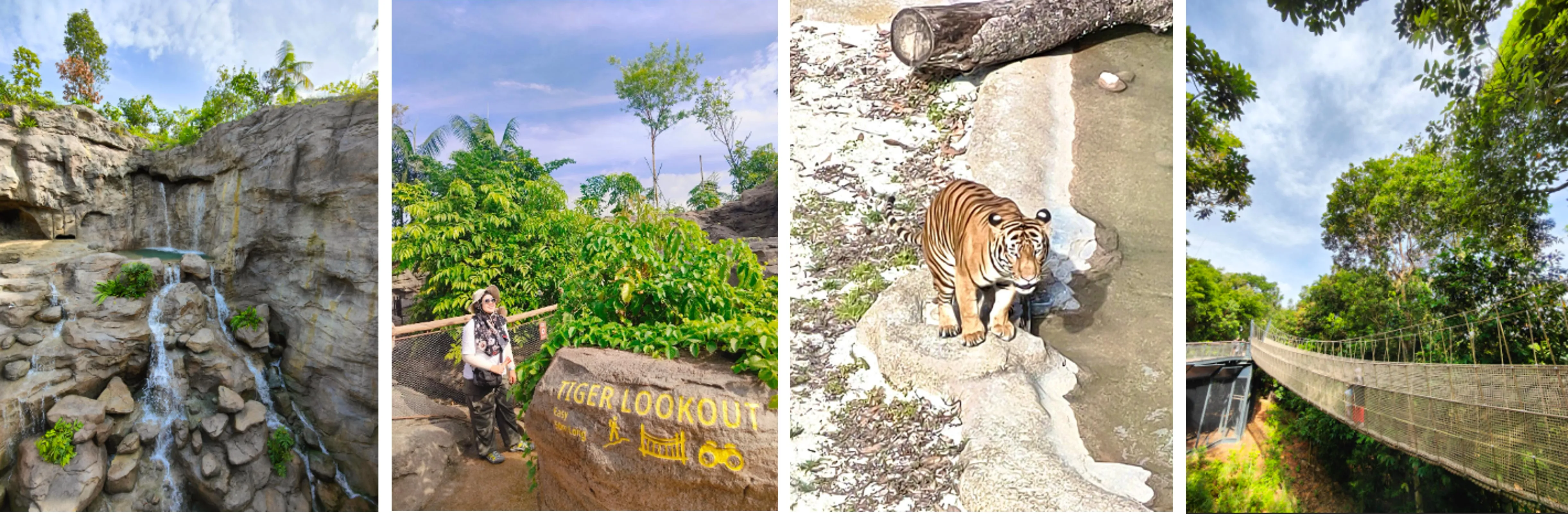 Rainforest Wild ASIA Preview
