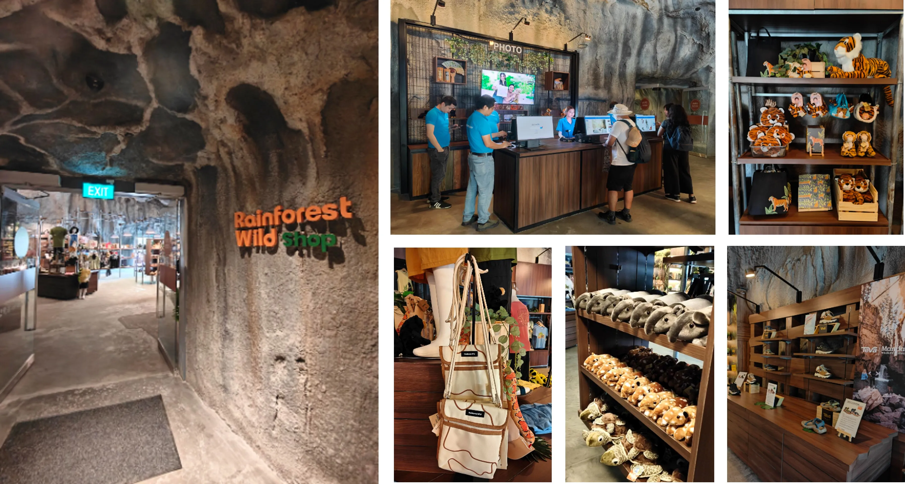 Rainforest Wild ASIA Preview