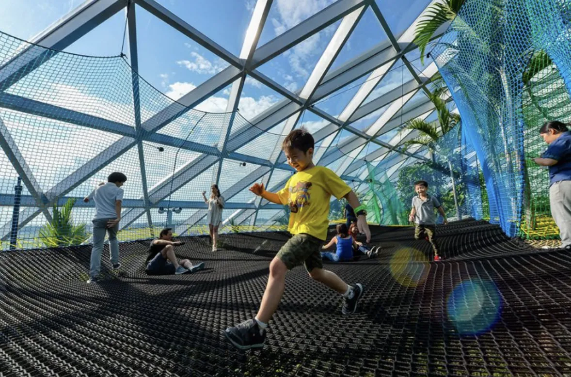 jewel changi airport manulife sky nets
