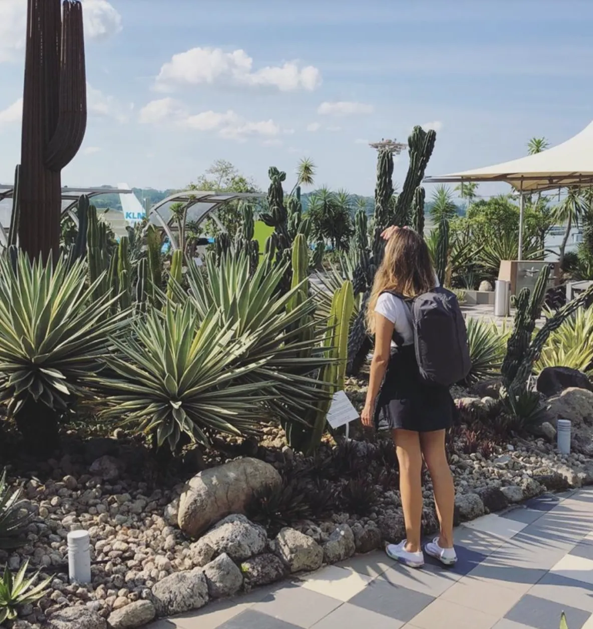 cactus garden changi airport