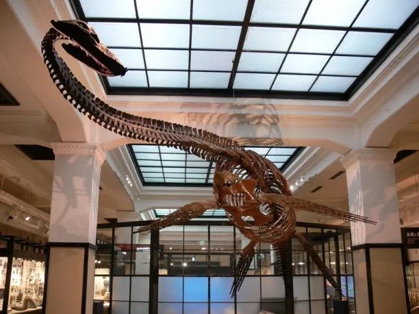 National Museum of Nature and Science, Tokyo
