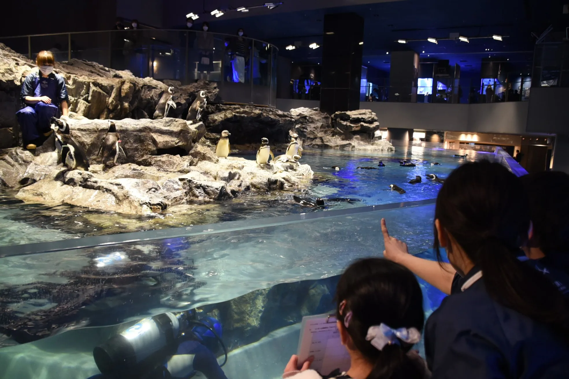 Credit: Sumida Aquarium