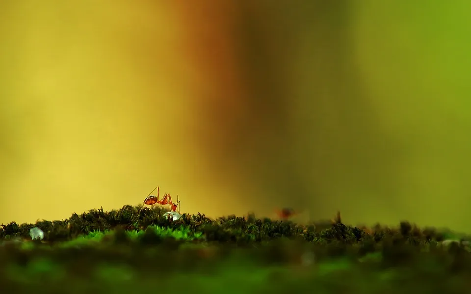 8 Beautiful Stories Of The Prophets That'll Inspire You